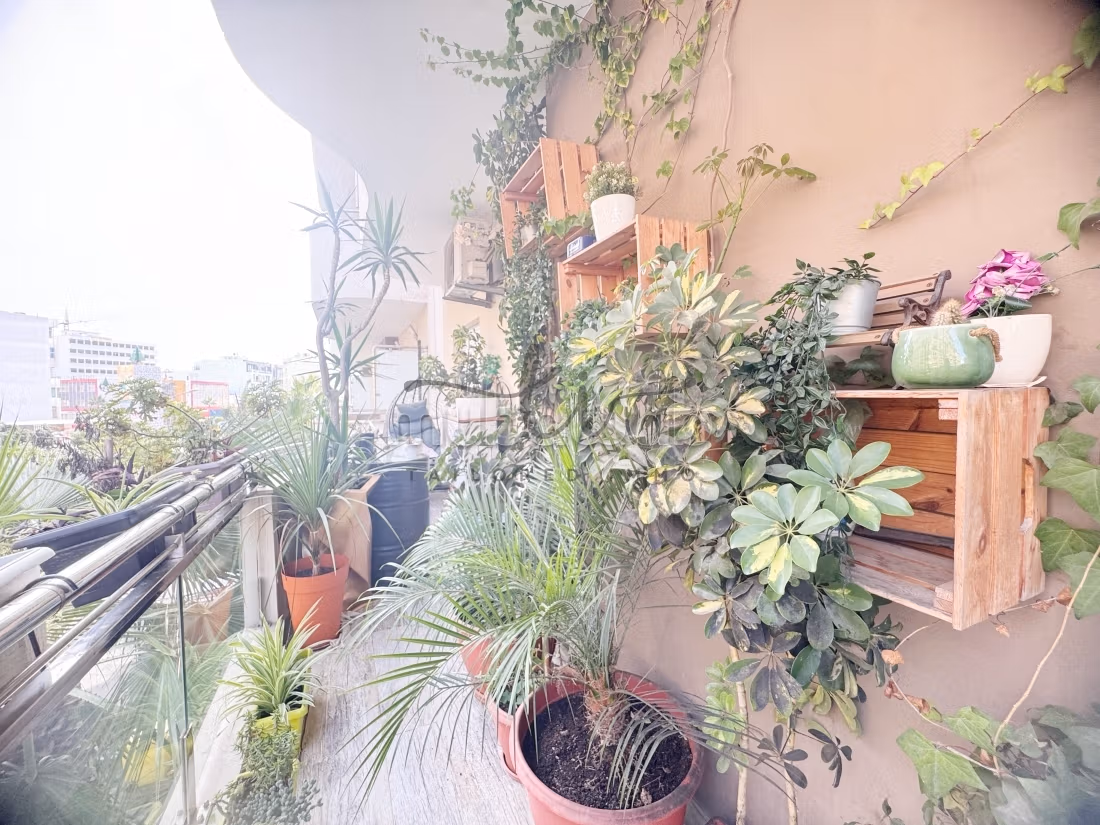 Appartement de deux chambres meublé à louer à palmier — 3
