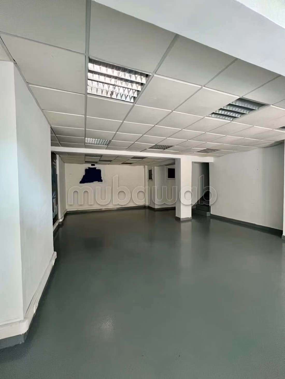 Offices & shops to rent in Lusitania. Surface area 140 m². Air conditioned