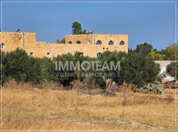 Land for sale near Hammamet