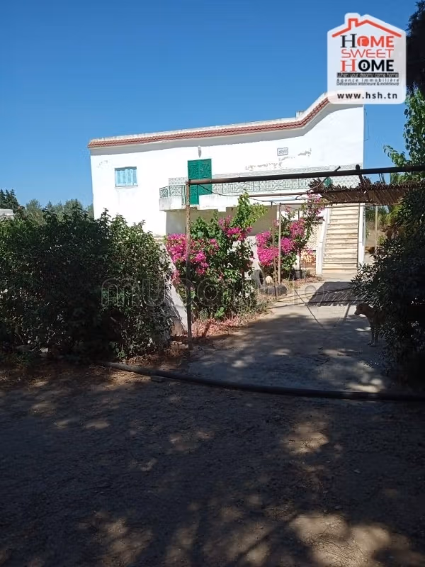 Nice farm for sale. Dimension 106500 m². Basement. 