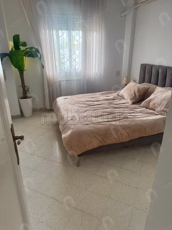 Un appartement S1 au berges du lac 1