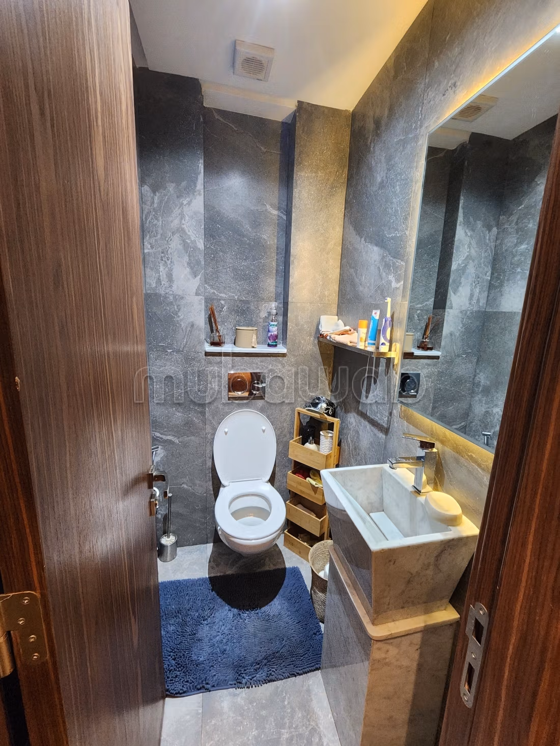 Duplex avec Grande Terrasse