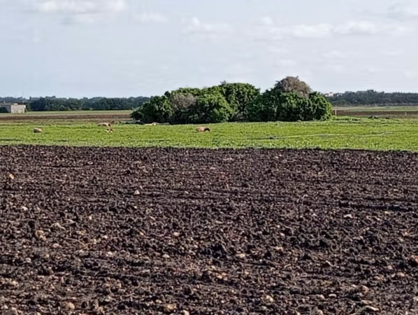 4 hectars et 4000m² a vendre opportunité