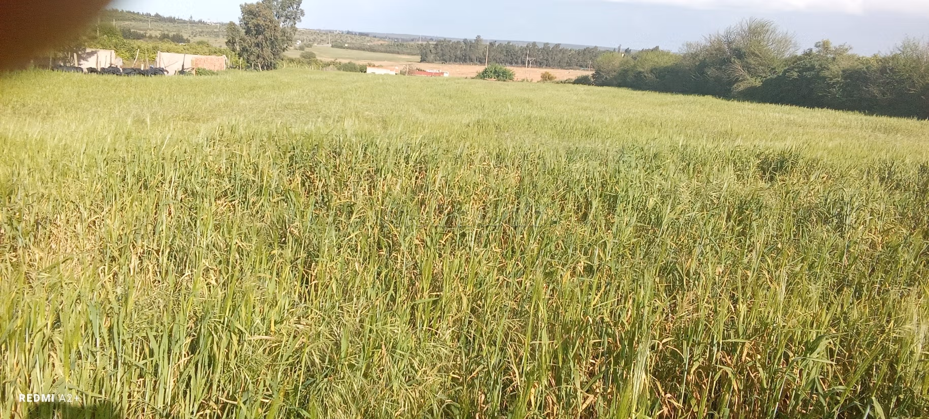 Land beschikbaar. Totale oppervlakte 16000 m²