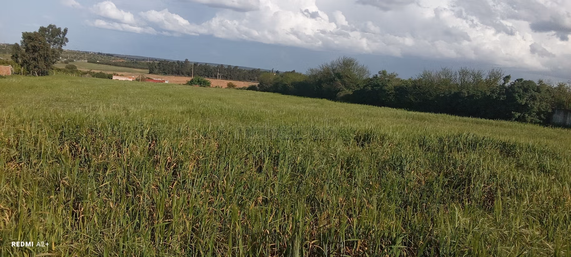 Land beschikbaar. Totale oppervlakte 16000 m²