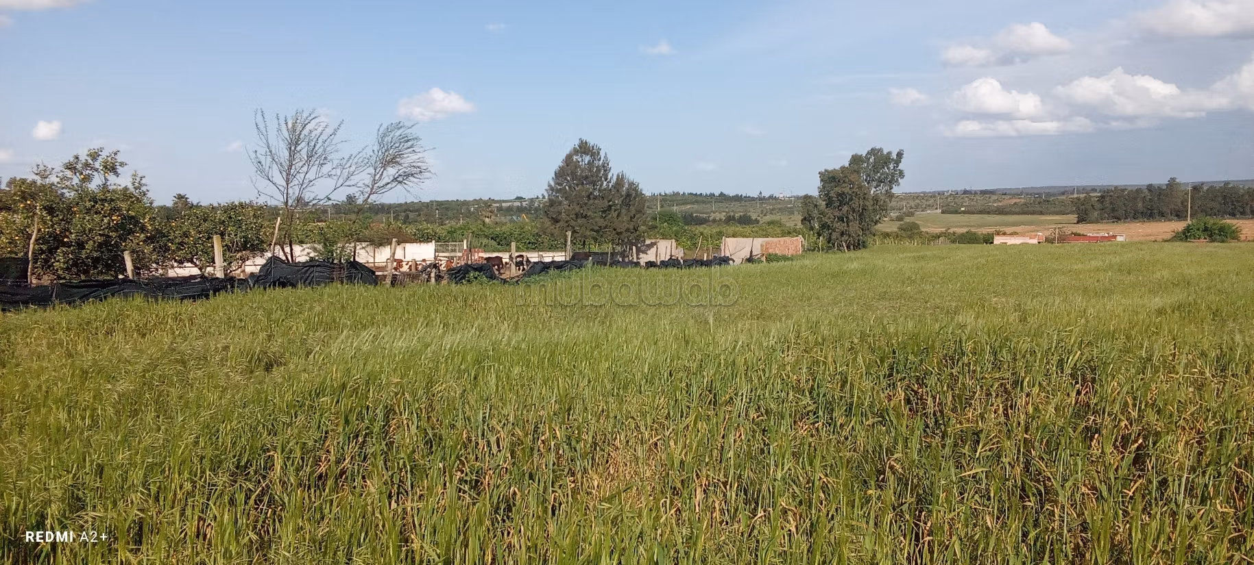 Land beschikbaar. Totale oppervlakte 16000 m²