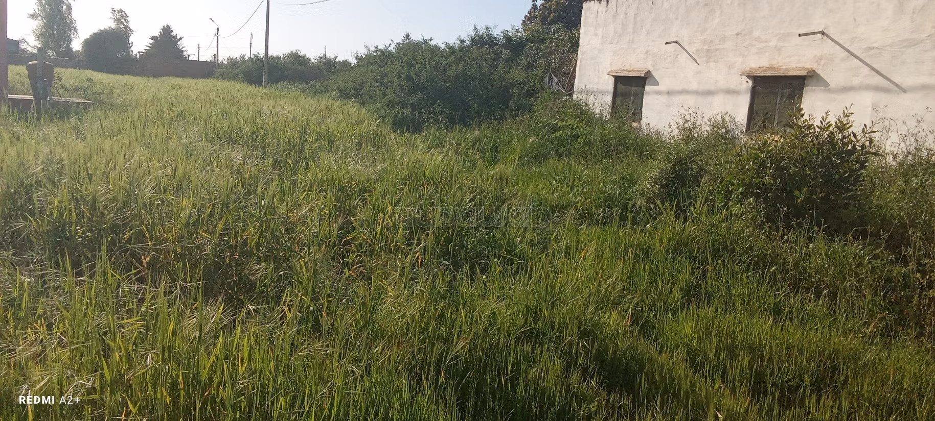 Land beschikbaar. Totale oppervlakte 16000 m²