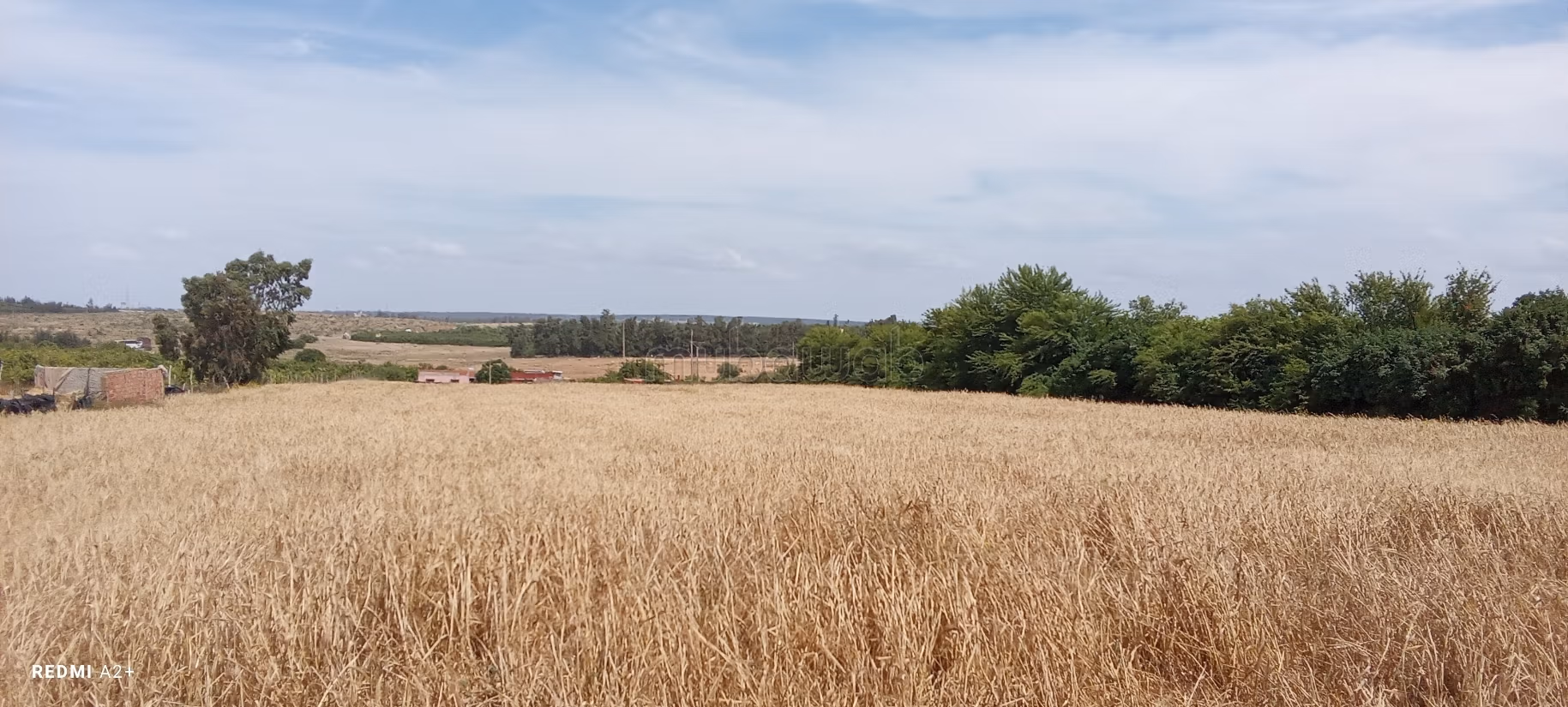 Land beschikbaar. Totale oppervlakte 16000 m²