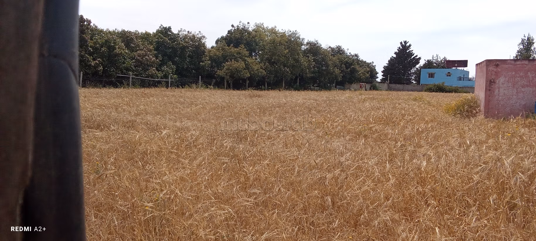 Land beschikbaar. Totale oppervlakte 16000 m²