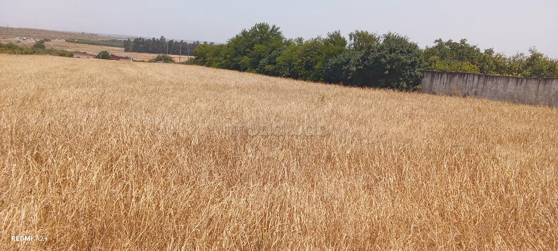 Land beschikbaar. Totale oppervlakte 16000 m²