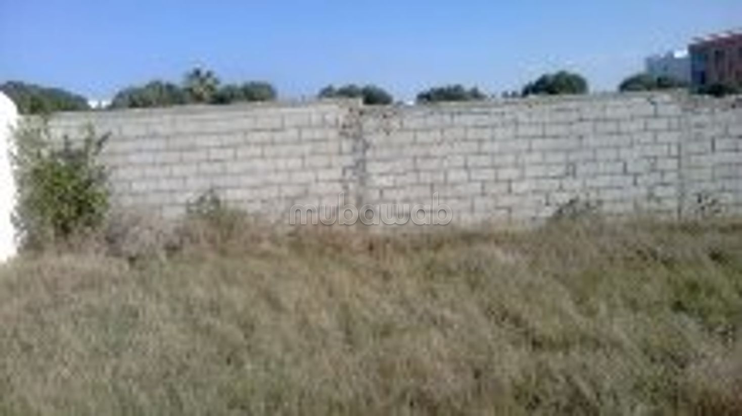 Acquista casa. 1 camera. Terrazzo e giardino