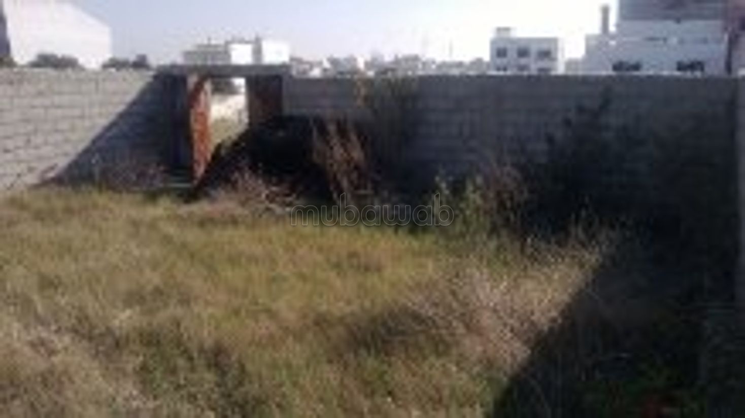 Acquista casa. 1 camera. Terrazzo e giardino