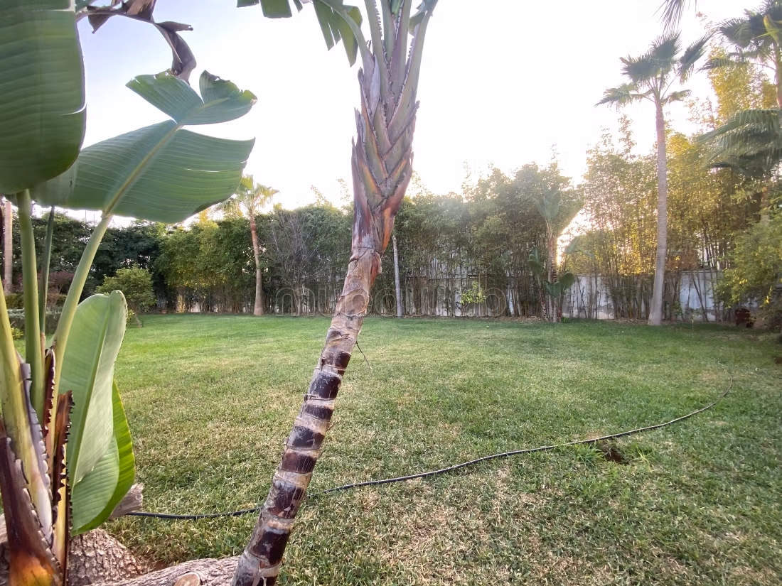 Vente villa de luxe à Quartier Des Ambassades. 10 pièces. Terrasse et jardin