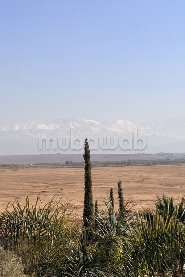 Land te koop. Totale oppervlakte 65800 m². 