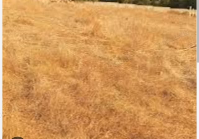 Terreno in vendita. Superficie 3000 m²