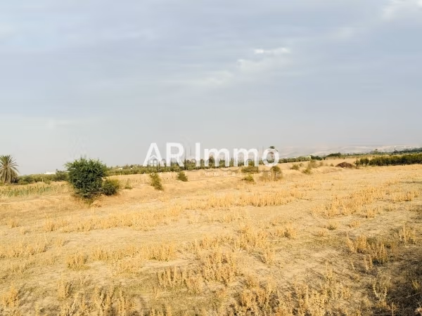 Lots de Terrains à à Jedaida