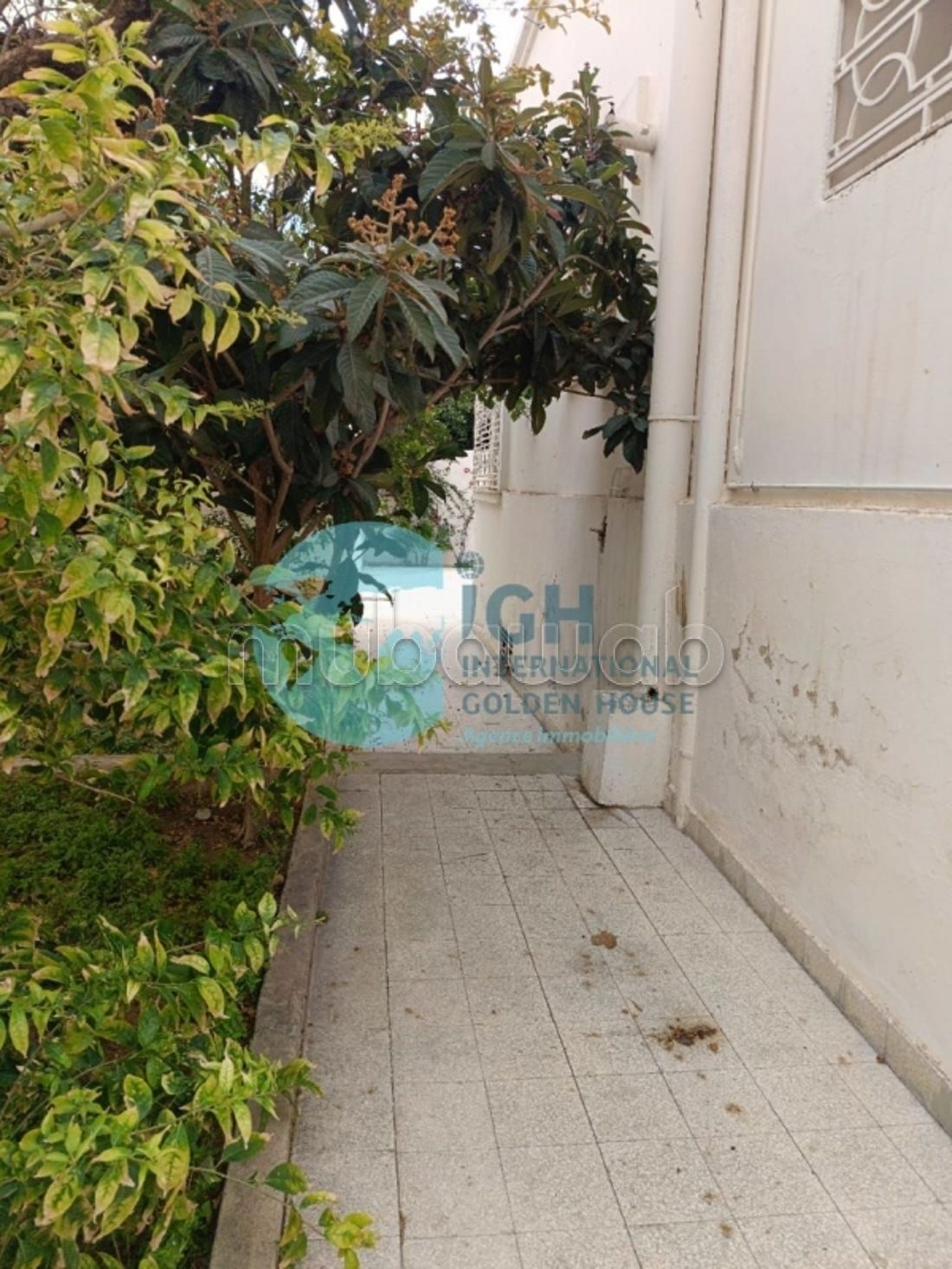 Projet pour promotion immobiliere