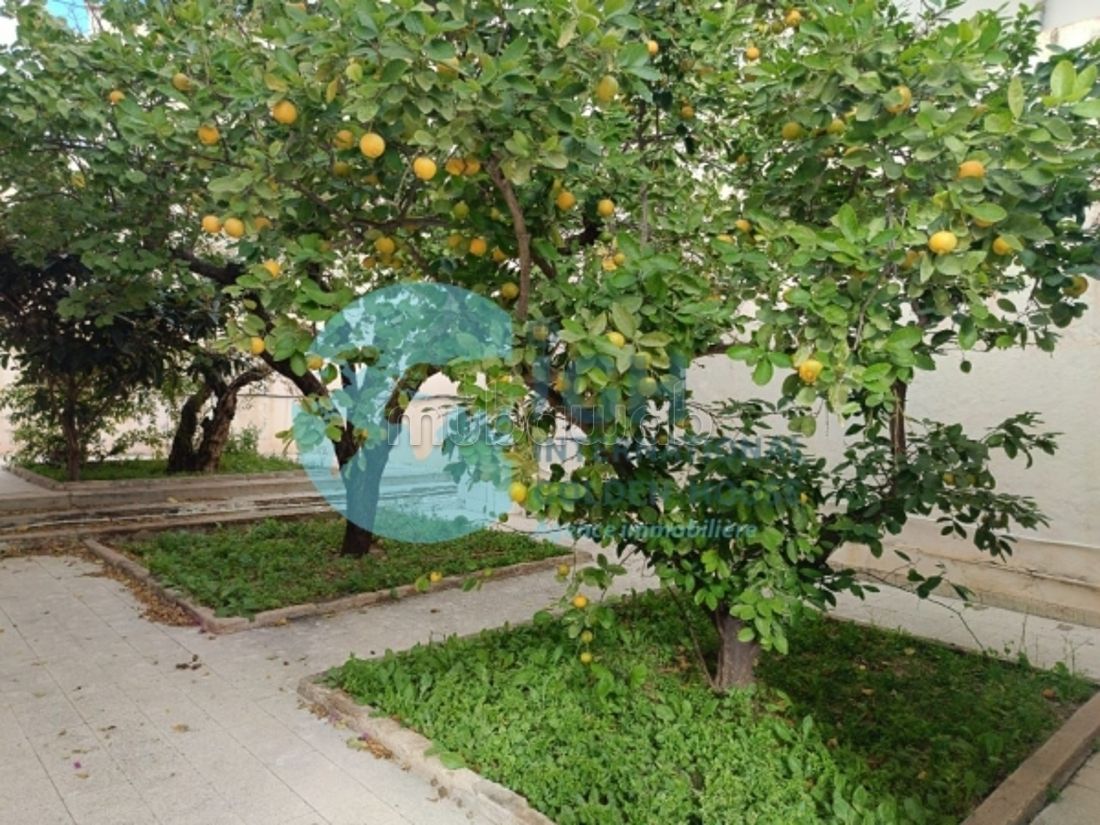 Projet pour promotion immobiliere