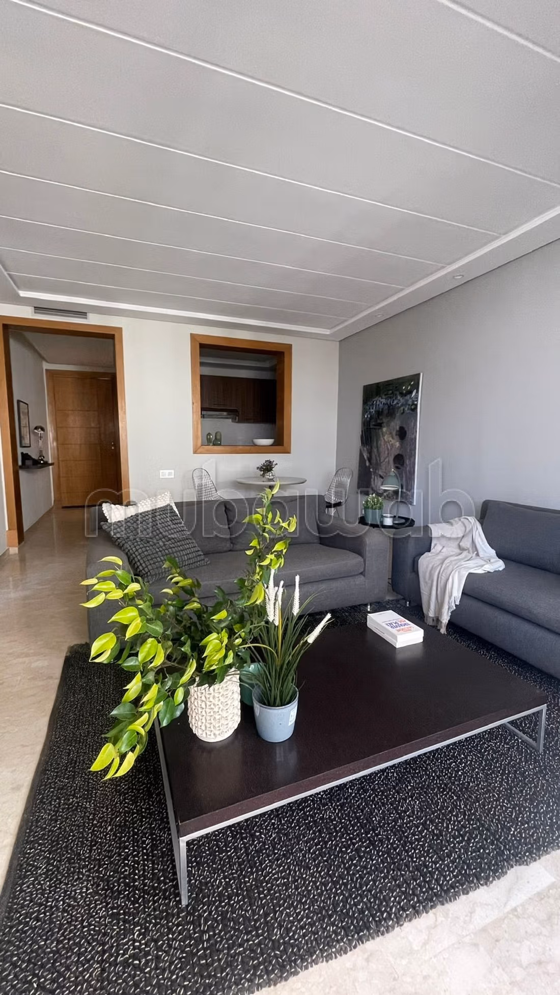 Beau studio moderne avec terrasse à louer racine
