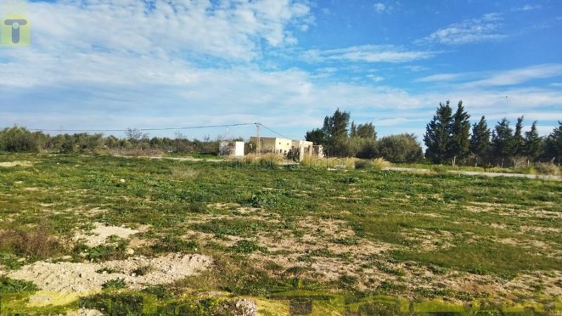 Land to buy. Area 1000 m². 