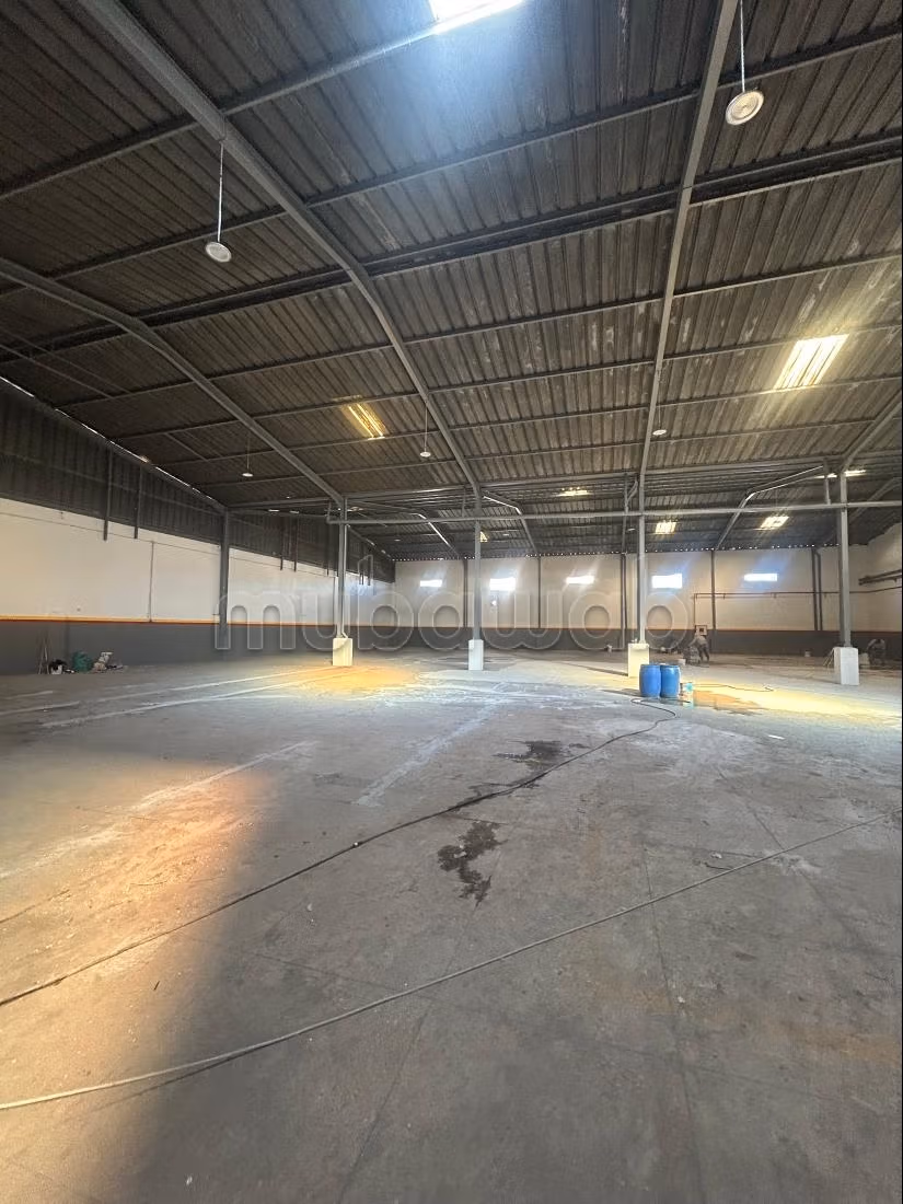 Oficinas y locales comerciales en alquiler en Zone Industrielle Mghogha. Superficie de 6000 m².