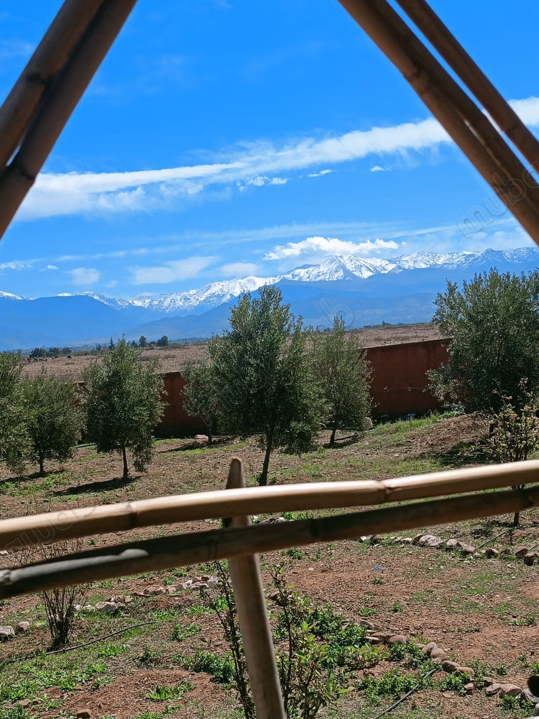 Farm for sale. Dimension 11200 m². On site security