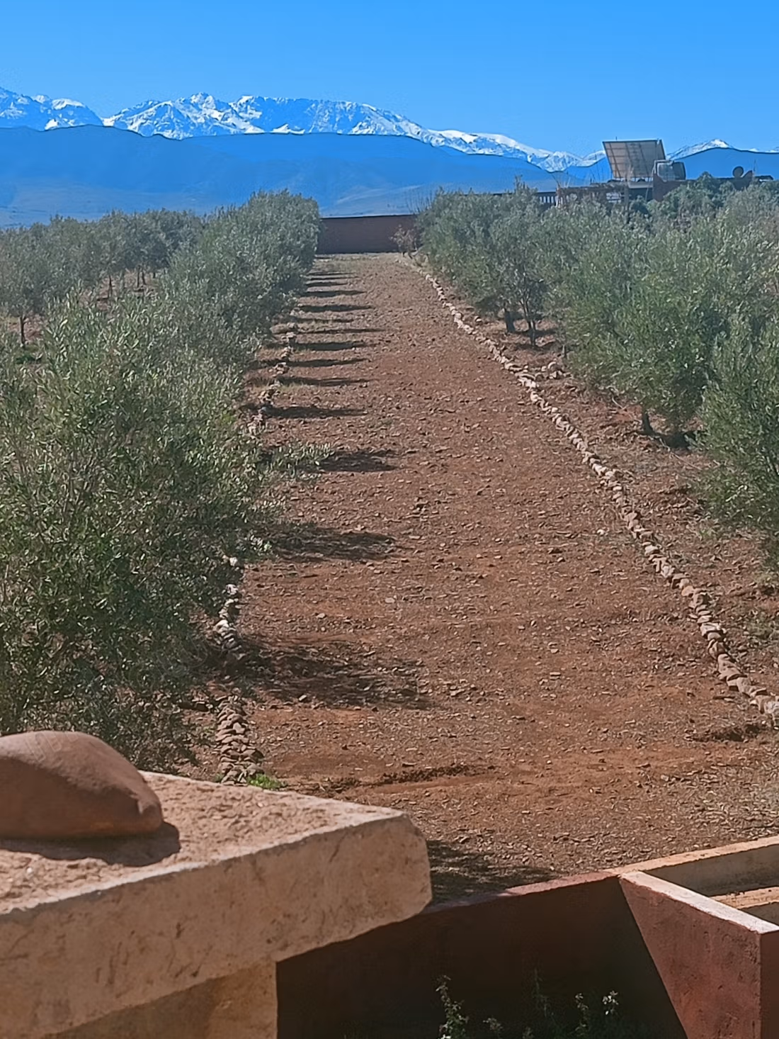Farm for sale. Dimension 11200 m². On site security