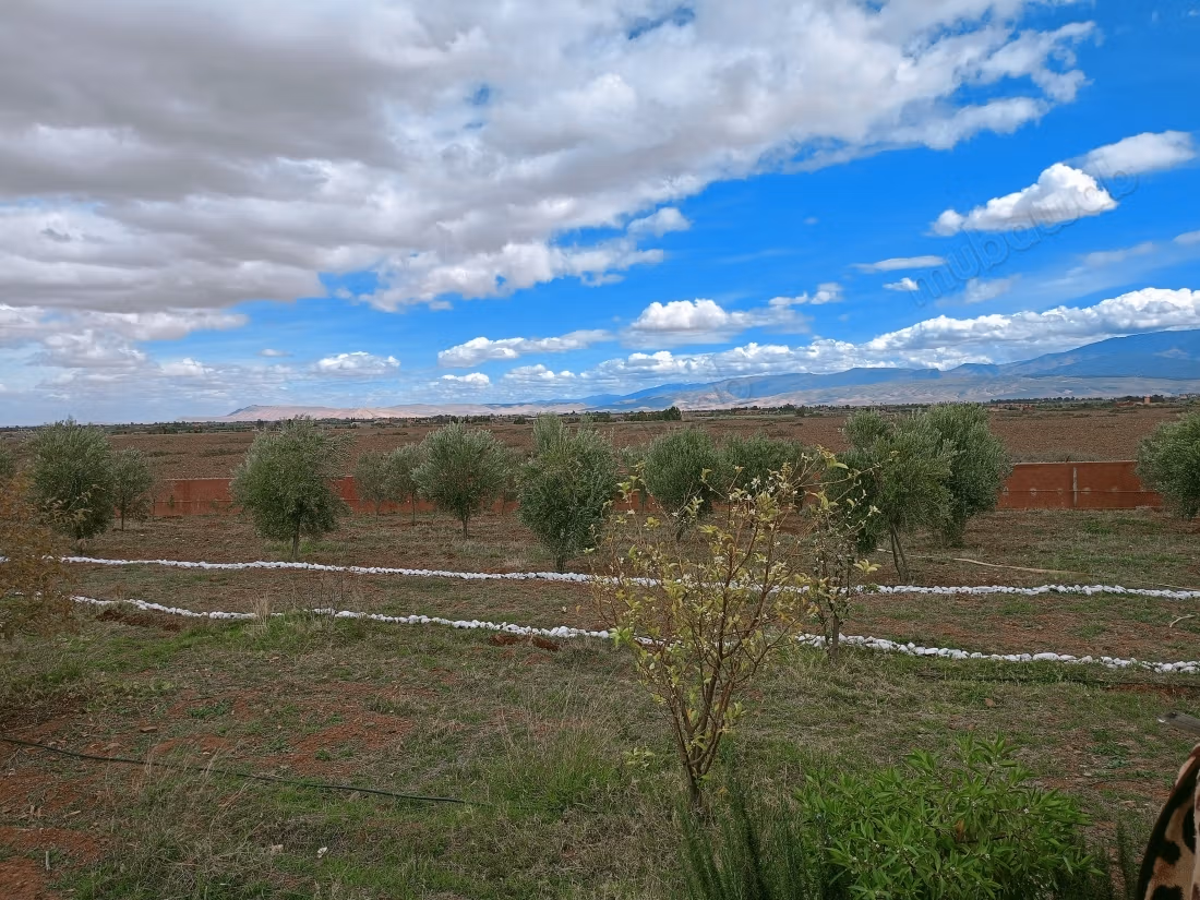 Farm for sale. Dimension 11200 m². On site security