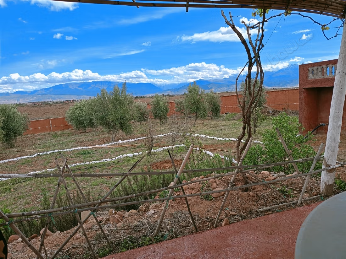 Farm for sale. Dimension 11200 m². On site security