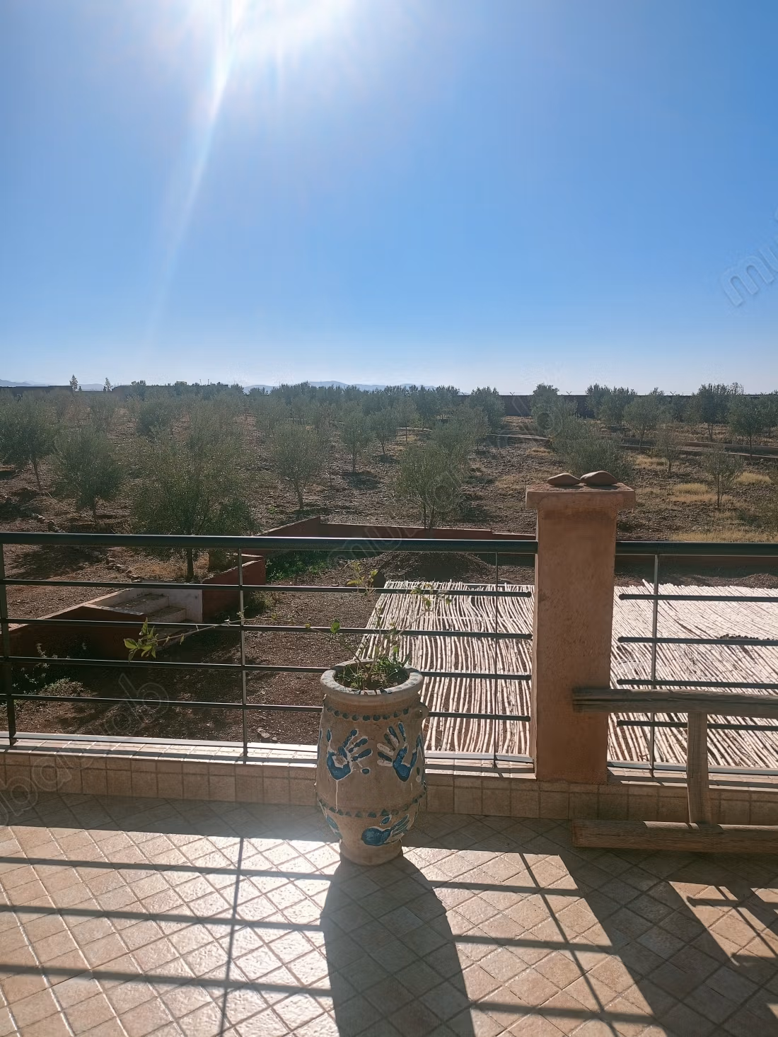 Farm for sale. Dimension 11200 m². On site security
