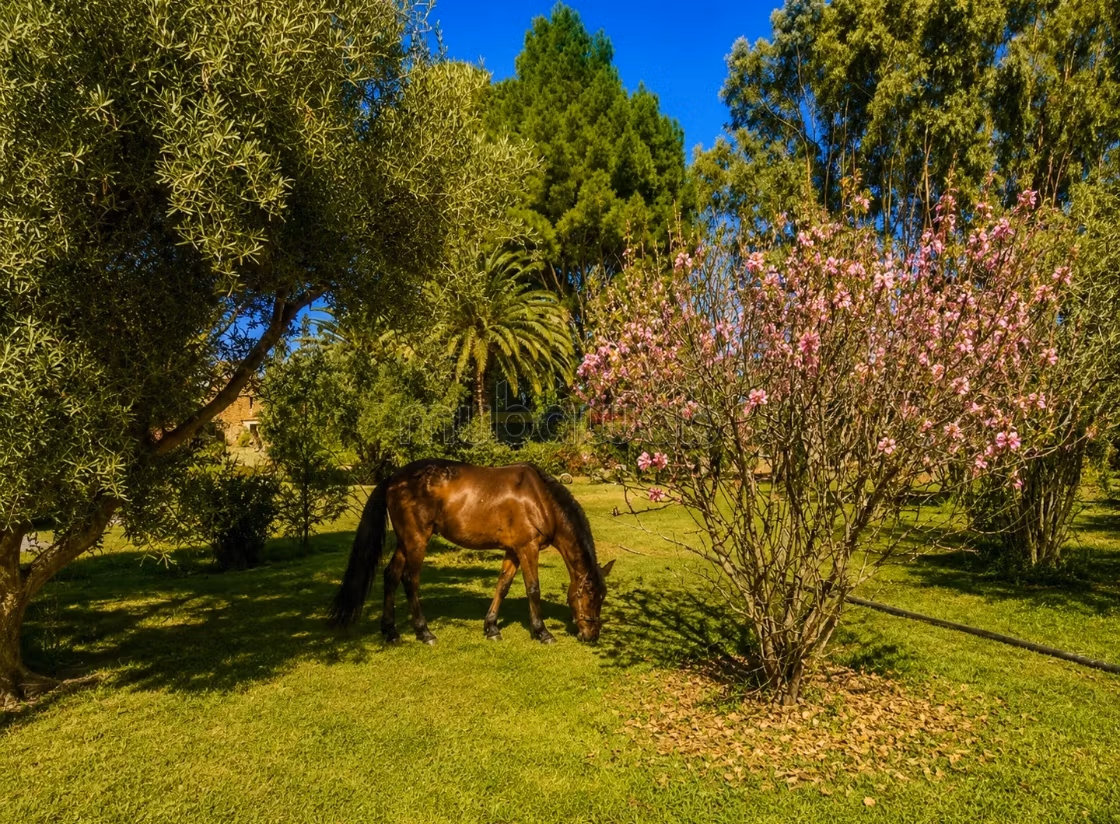 Domaine champêtre d'exception 3 villas