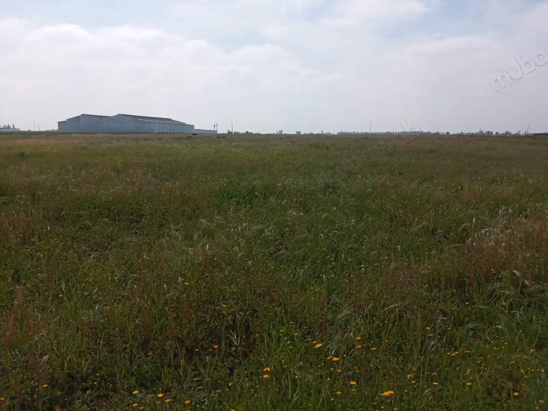 Agradable granja en venta. Dimensión 50084 m²