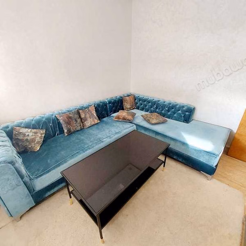 Apartment for sale in Belvédère. 3 beautiful rooms. Furnished
