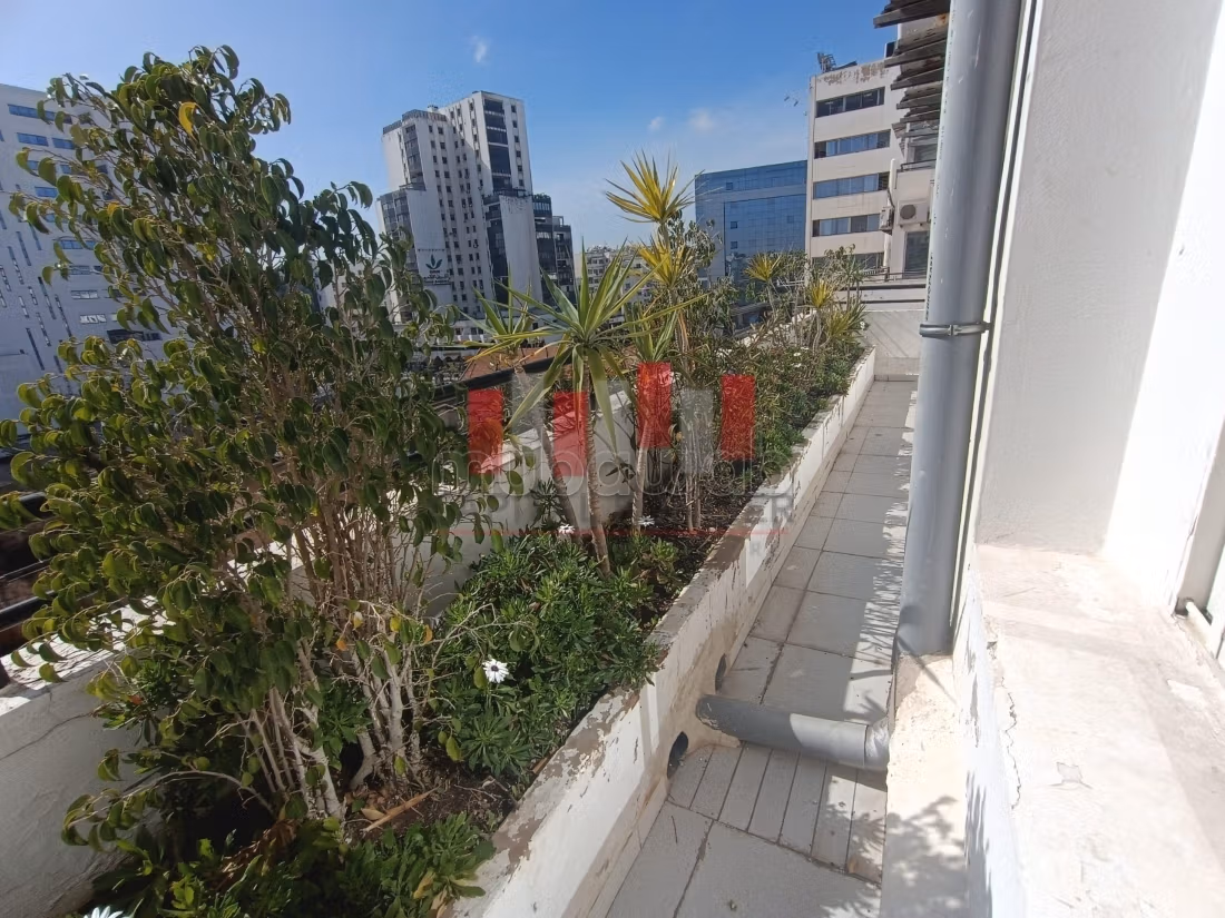 Offices for rent. Surface area 106 m²