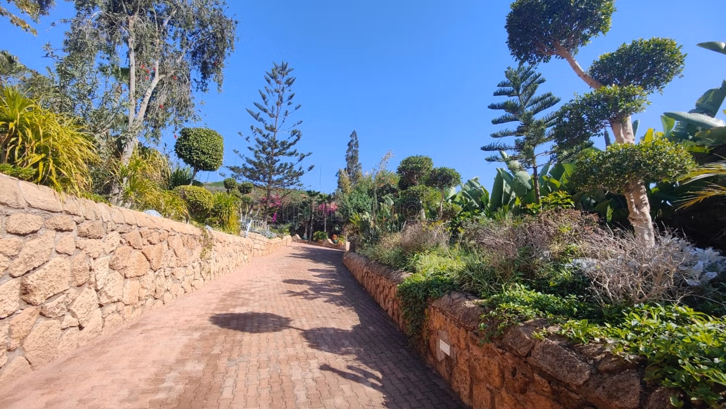 Villa de alto standing en venta en La Colline. 7 dormitorios. Propiedad con piscina