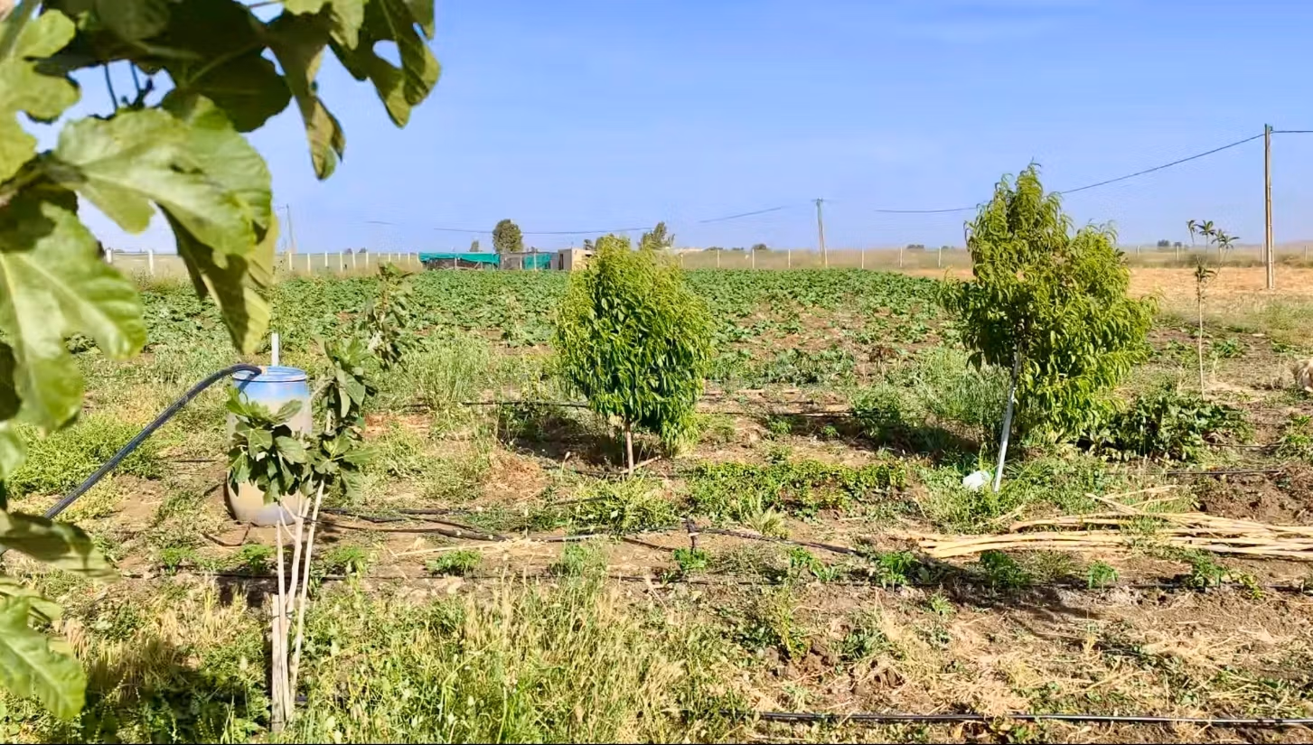 Granja en venta en Entrée Sud. Area 10003 m²