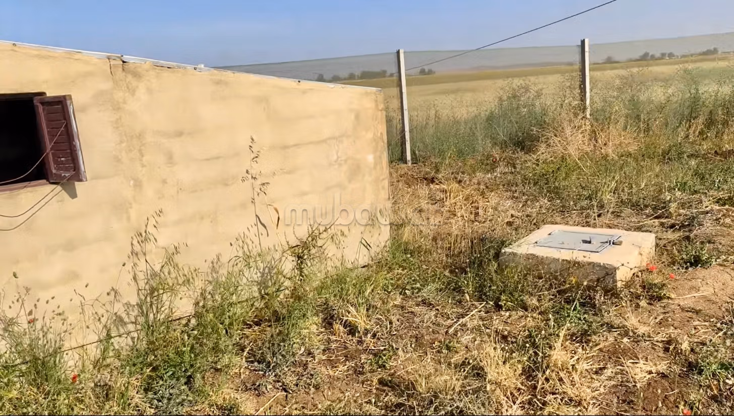 Granja en venta en Entrée Sud. Area 10003 m²