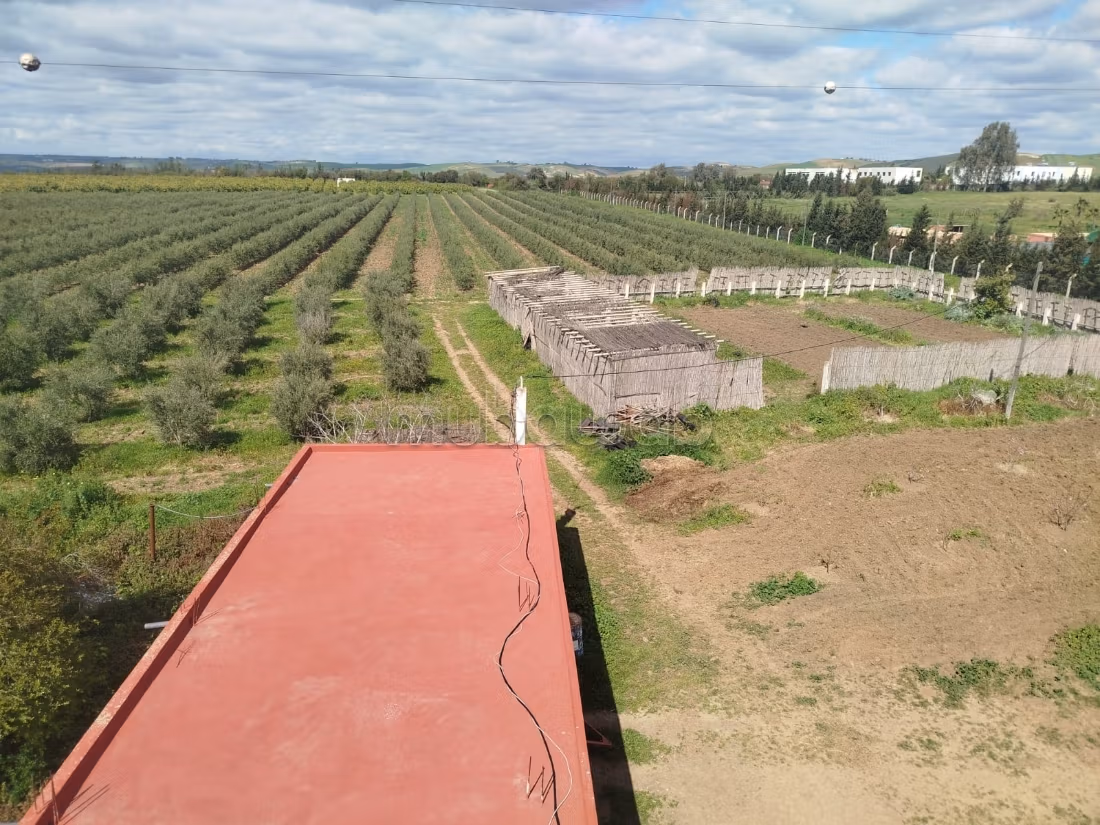 Nice farm for sale. Small area 280000 m²
