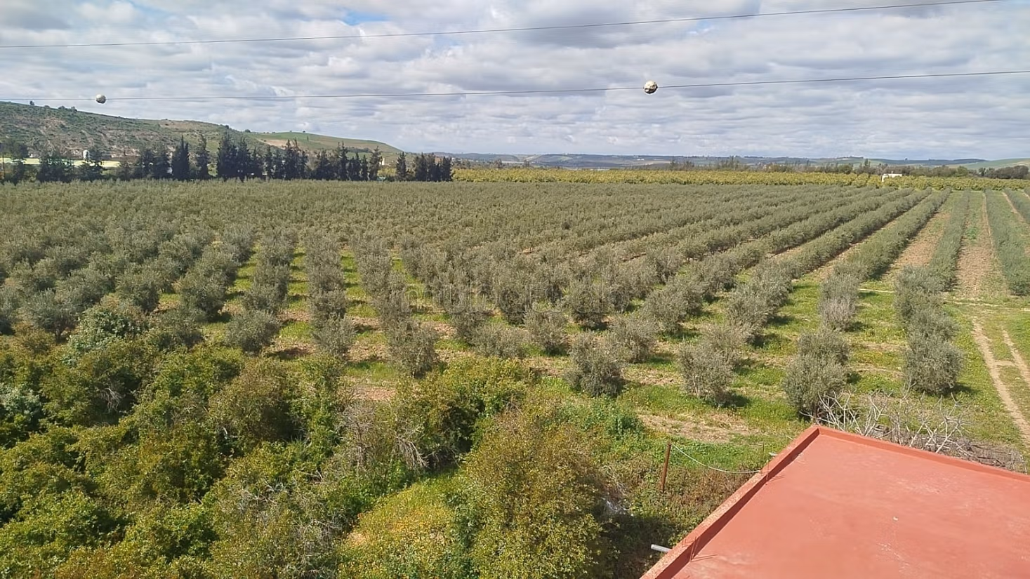 Nice farm for sale. Small area 280000 m²