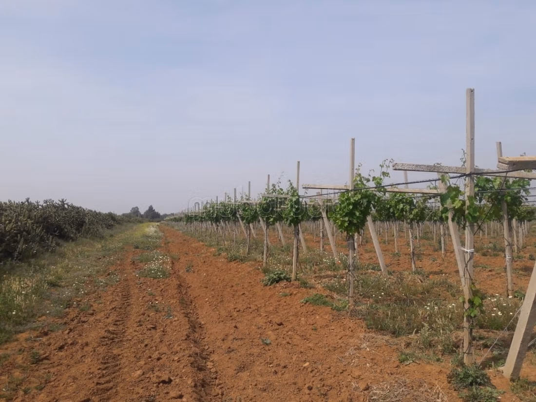 Nice farm for sale. Small area 280000 m²