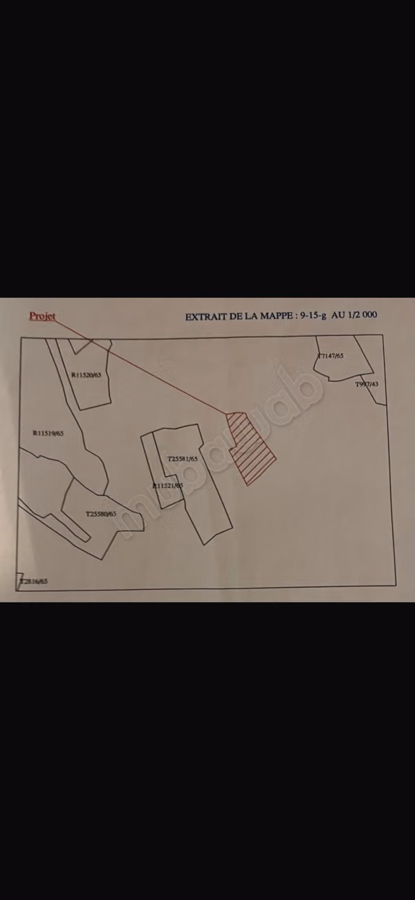 Terrain en milkia autorisé pour villa plain pied