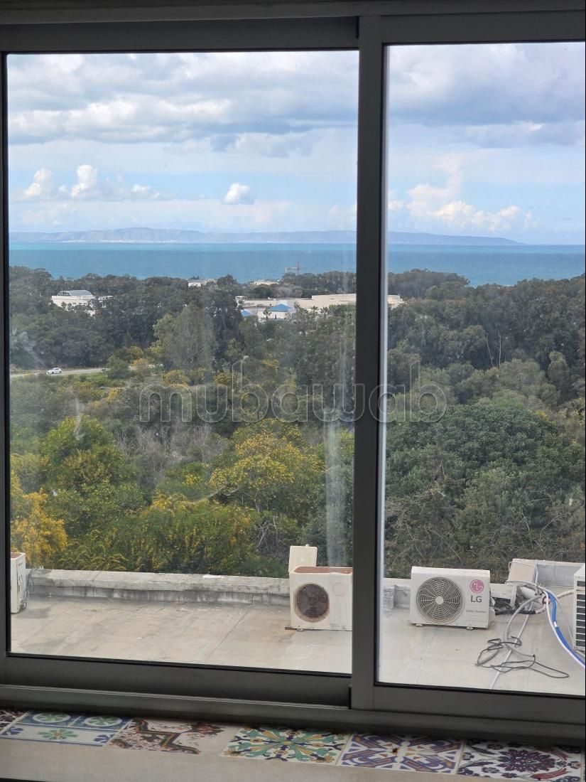 Appartement duplex s2 vente gammarth touristique