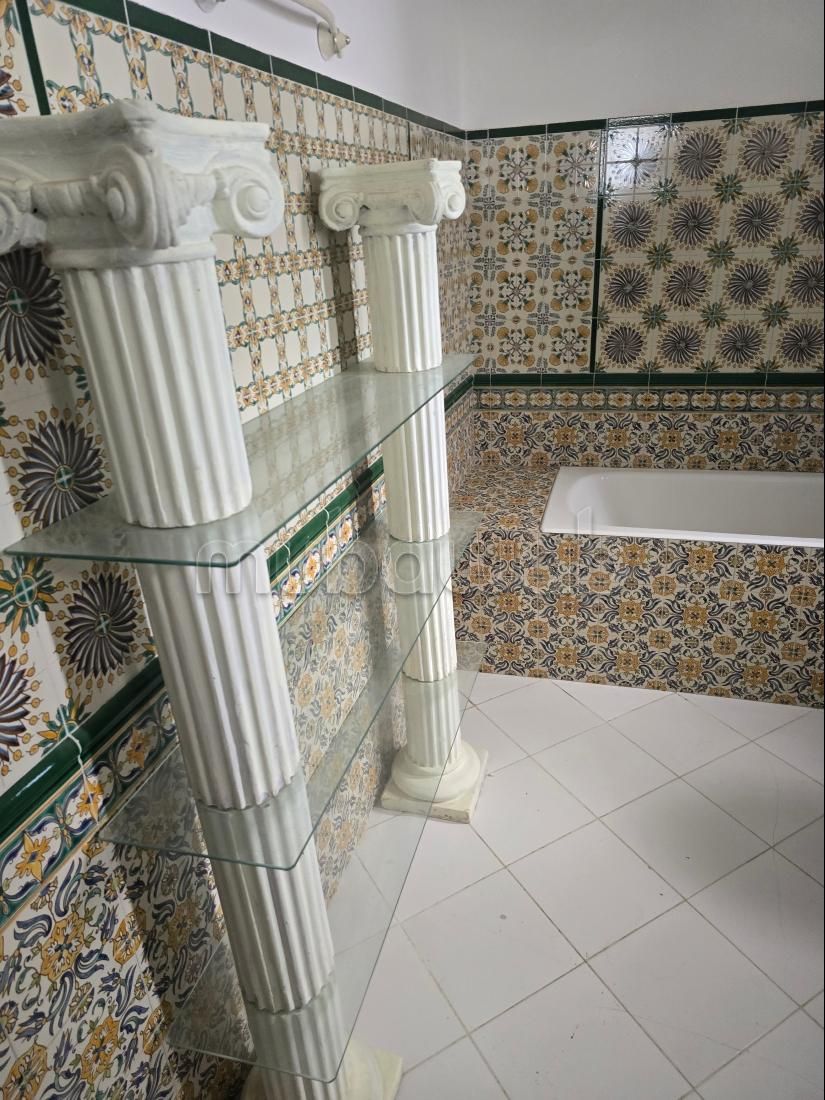 Appartement duplex s2 vente gammarth touristique