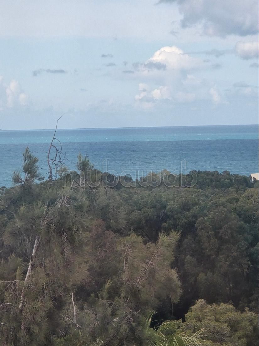 Appartement duplex s2 vente gammarth touristique