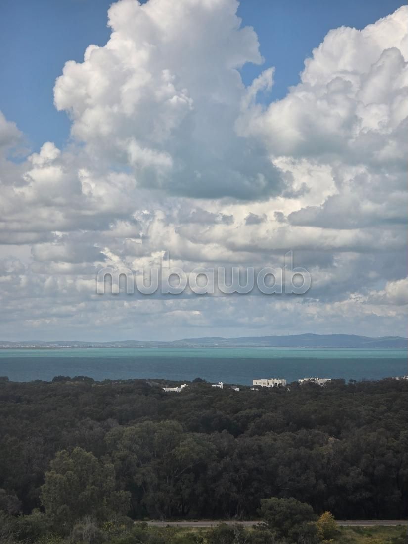 Appartement duplex s2 vente gammarth touristique