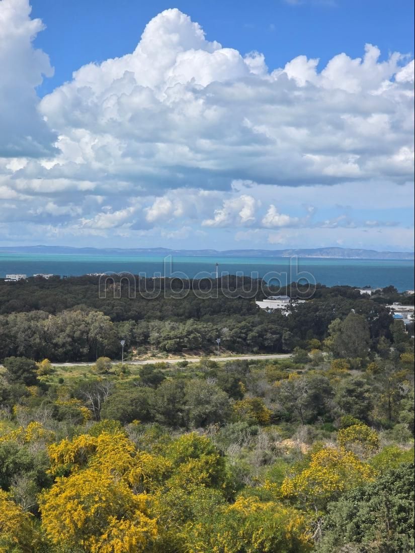 Appartement duplex s2 vente gammarth touristique