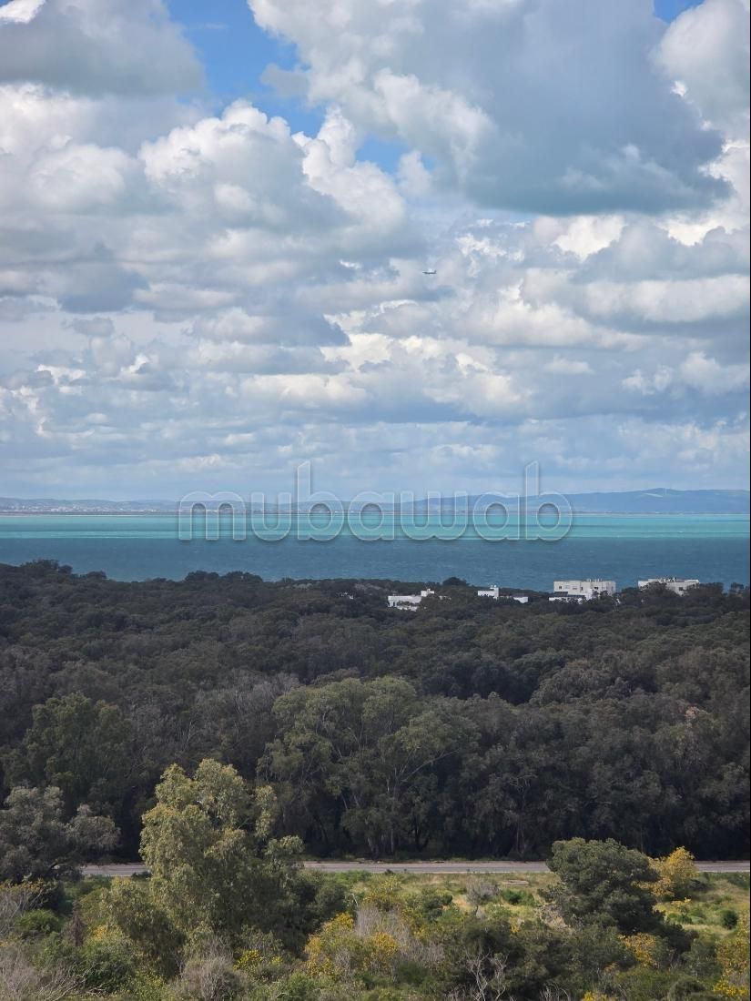 Appartement duplex s2 vente gammarth touristique