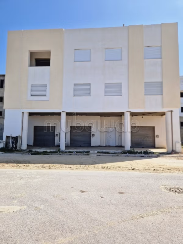 Appartements et locaux commerciaux