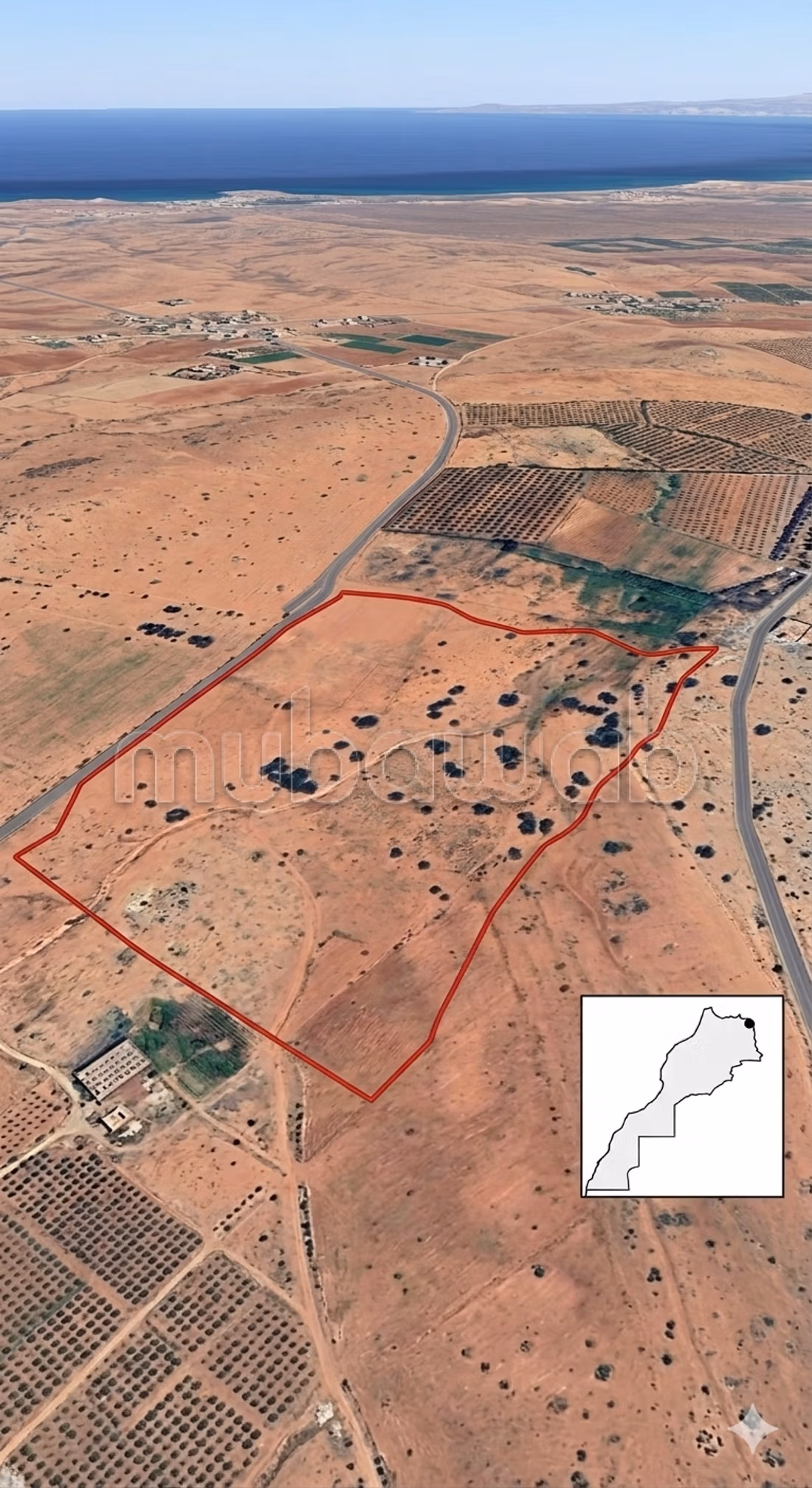 Granja en venta. Dimensión 80000 m²