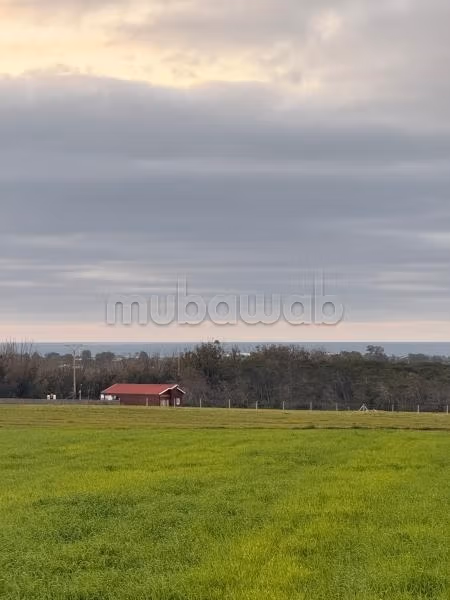Terreno en venta. Area 10000 m²